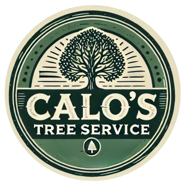 Calo’s Tree Service