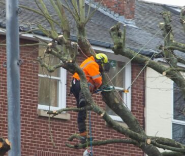 scott-precious-ChgvIm7GtzU-unsplash