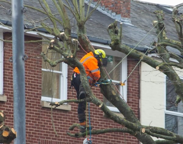 scott-precious-ChgvIm7GtzU-unsplash