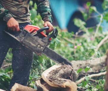 asian-man-cutting-trees-using-electrical-chainsaw (1) (1)