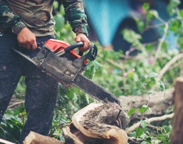 asian-man-cutting-trees-using-electrical-chainsaw (1) (1)