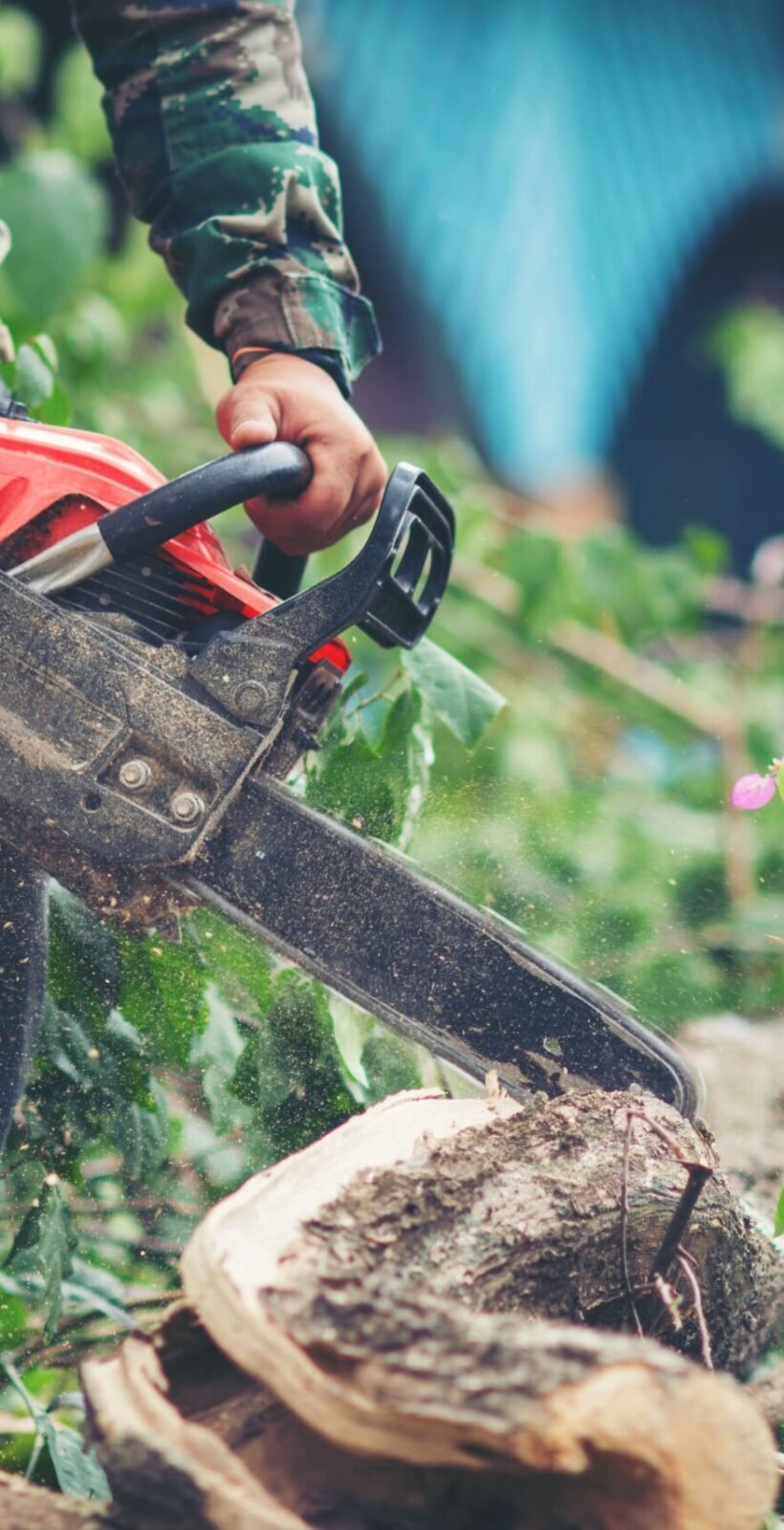 asian-man-cutting-trees-using-electrical-chainsaw (1) (1)